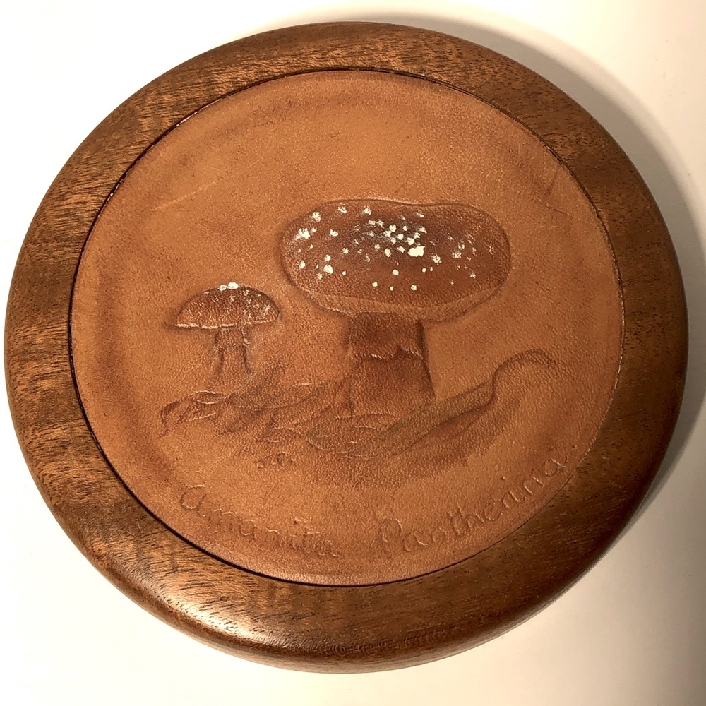 Mushroom wood leather wall plaque